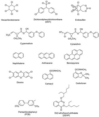 Recent Advanced Technologies for the Characterization of Xenobiotic-Degrading Microorganisms and Microbial Communities